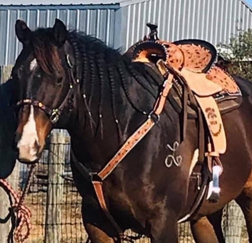 16" Sunrise Barrel Saddle